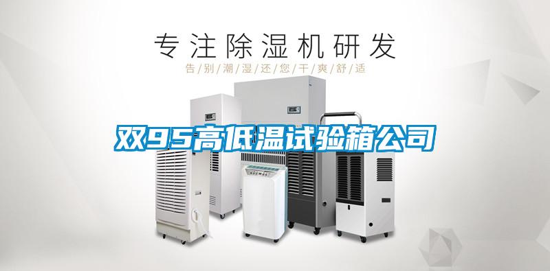 雙95高低溫試驗(yàn)箱公司