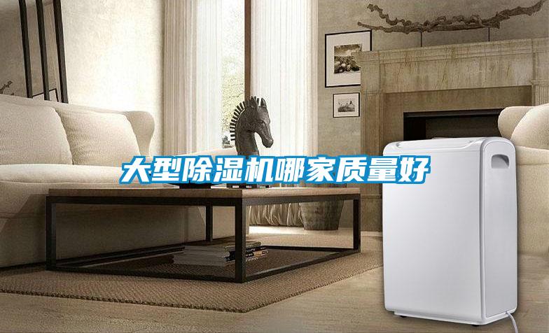 大型除濕機哪家質(zhì)量好