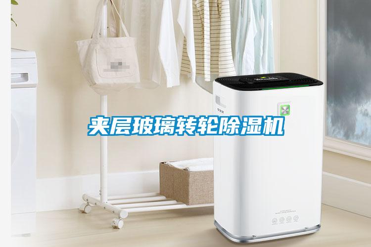 夾層玻璃轉(zhuǎn)輪除濕機(jī)