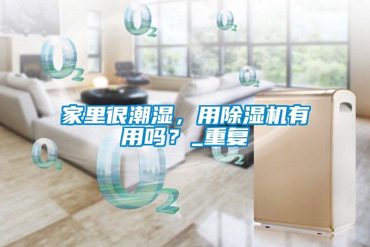 家里很潮濕，用除濕機(jī)有用嗎？_重復(fù)