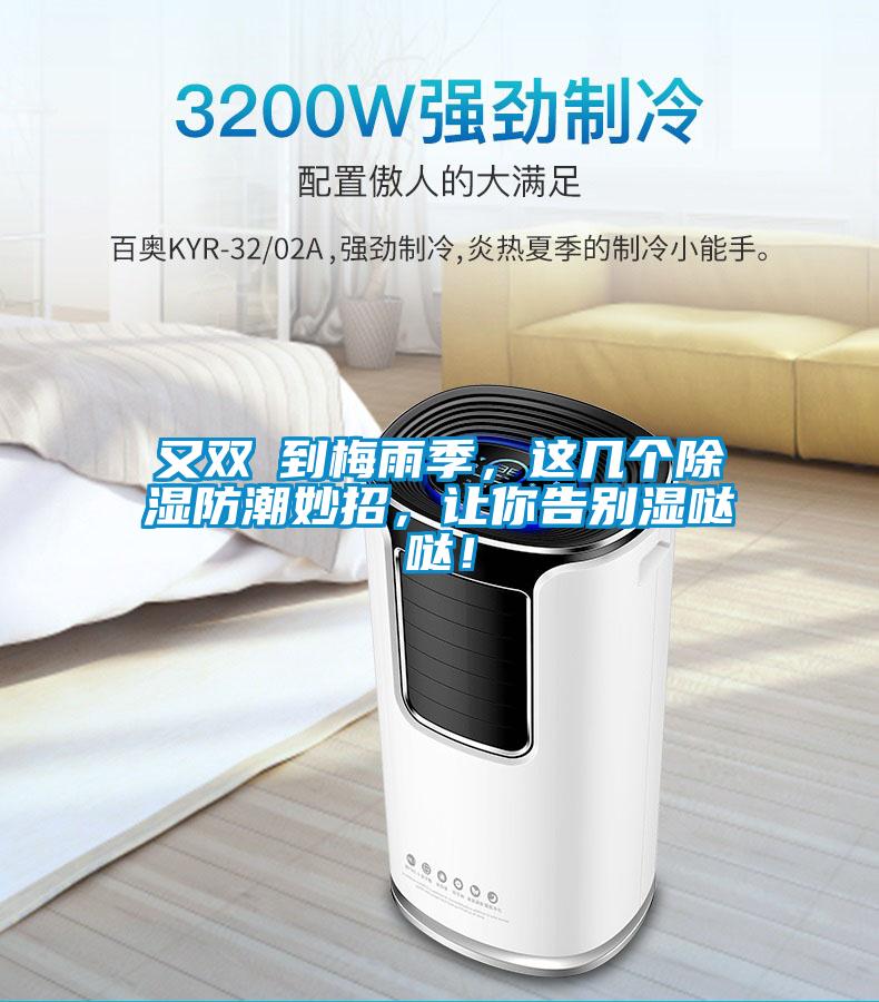 又雙叒到梅雨季，這幾個(gè)除濕防潮妙招，讓你告別濕噠噠！