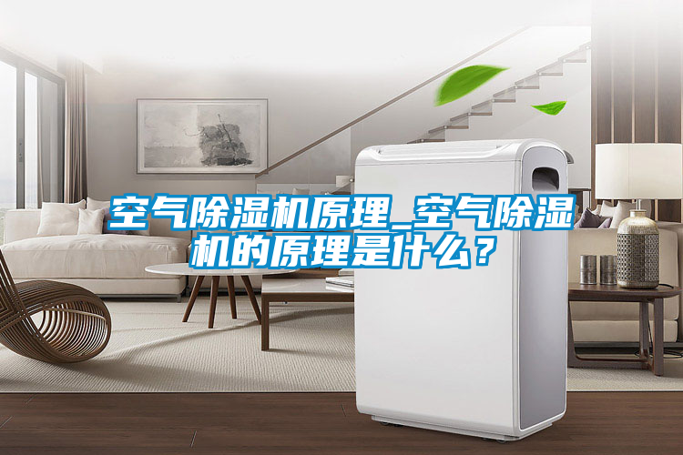 空氣除濕機(jī)原理_空氣除濕機(jī)的原理是什么？