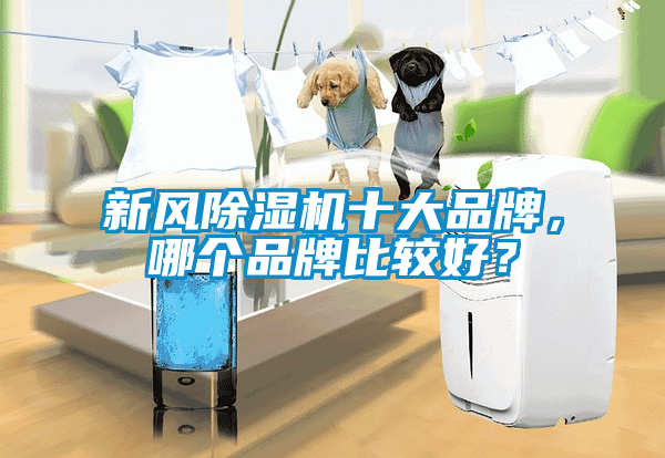 新風(fēng)除濕機(jī)十大品牌，哪個(gè)品牌比較好？