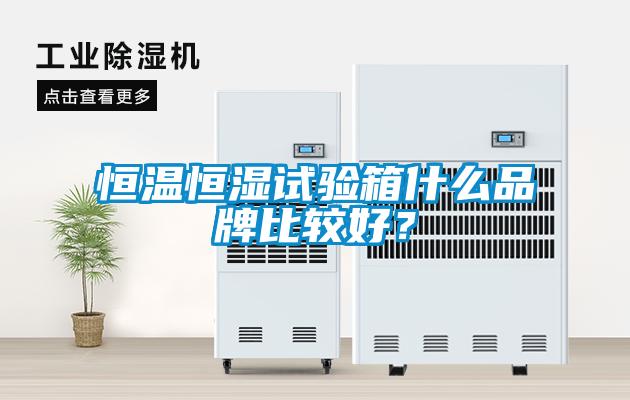 恒溫恒濕試驗(yàn)箱什么品牌比較好？
