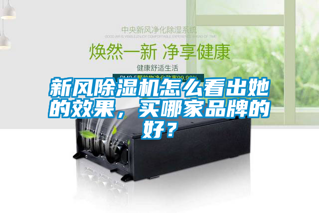 新風(fēng)除濕機怎么看出她的效果，買哪家品牌的好？