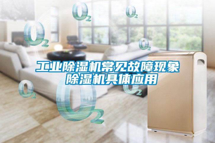 工業(yè)除濕機常見故障現(xiàn)象 除濕機具體應用