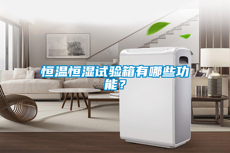 恒溫恒濕試驗箱有哪些功能？
