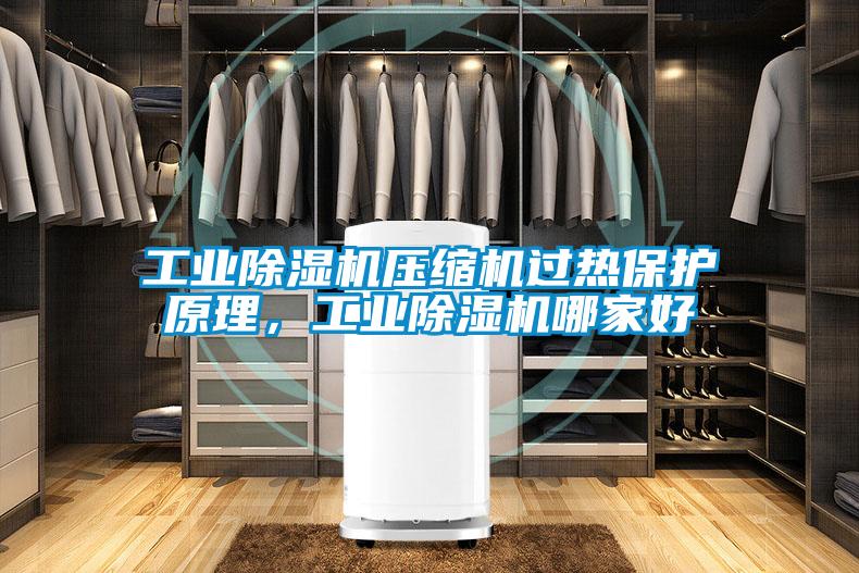 工業(yè)除濕機(jī)壓縮機(jī)過熱保護(hù)原理，工業(yè)除濕機(jī)哪家好
