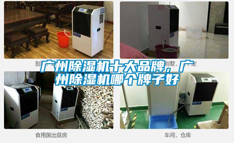 廣州除濕機十大品牌，廣州除濕機哪個牌子好