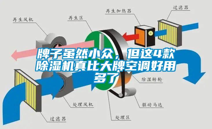牌子雖然小眾，但這4款除濕機真比大牌空調(diào)好用多了