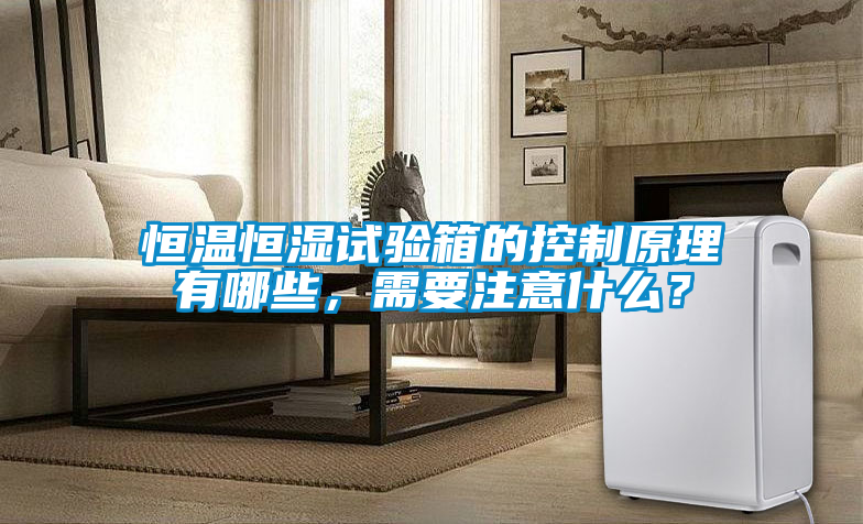 恒溫恒濕試驗(yàn)箱的控制原理有哪些，需要注意什么？
