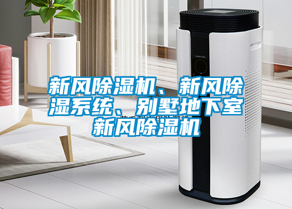 新風除濕機、新風除濕系統(tǒng)、別墅地下室新風除濕機
