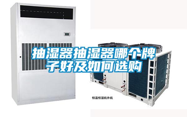抽濕器抽濕器哪個(gè)牌子好及如何選購(gòu)