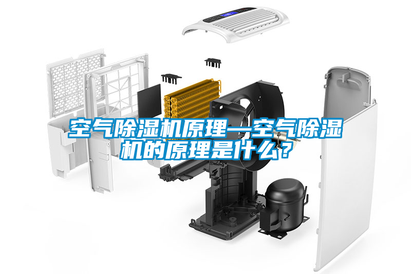 空氣除濕機(jī)原理—空氣除濕機(jī)的原理是什么？