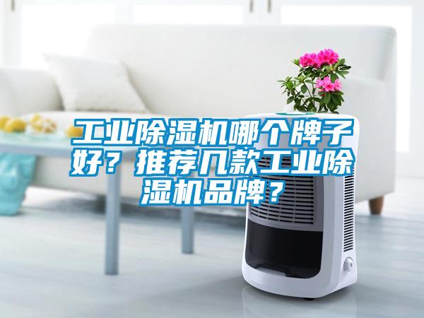 工業(yè)除濕機哪個牌子好？推薦幾款工業(yè)除濕機品牌？