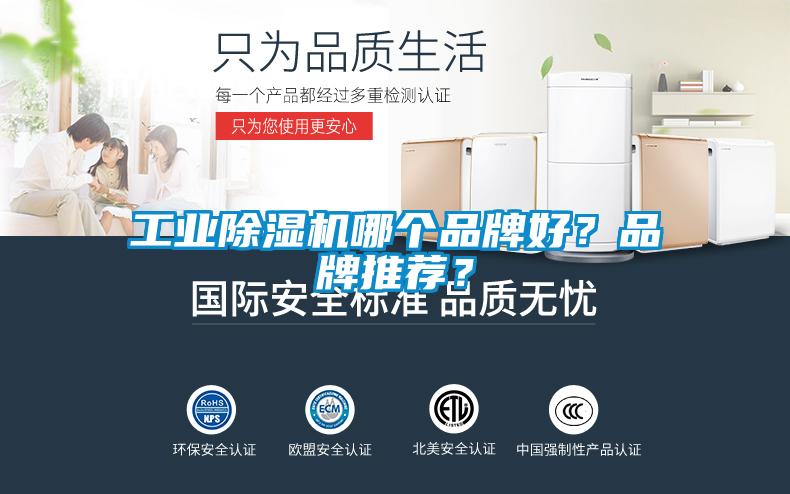 工業(yè)除濕機哪個品牌好？品牌推薦？