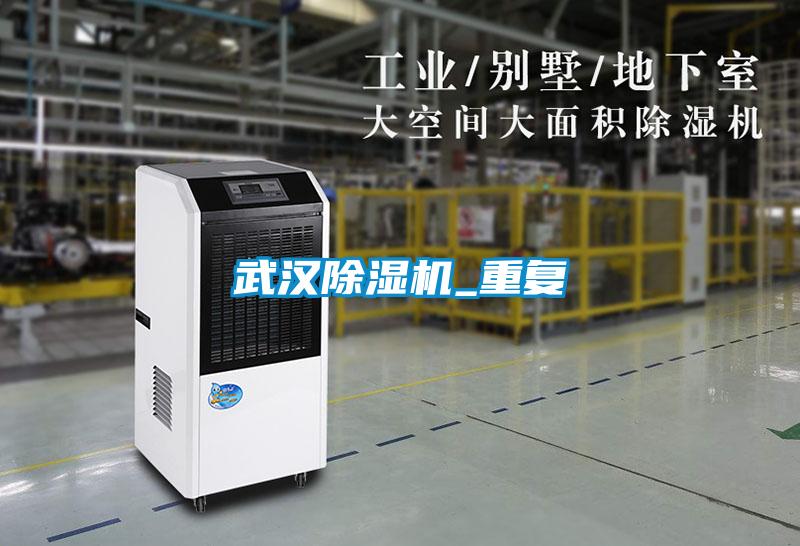 武漢除濕機_重復