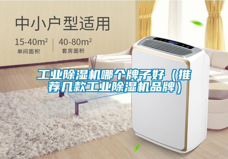 工業(yè)除濕機(jī)哪個(gè)牌子好(推薦幾款工業(yè)除濕機(jī)品牌)