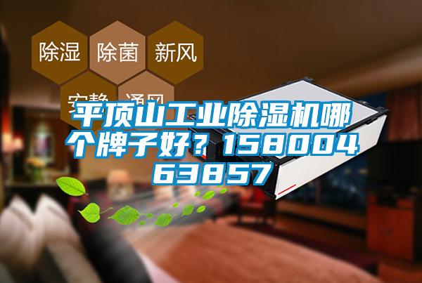 平頂山工業(yè)除濕機(jī)哪個牌子好？15800463857