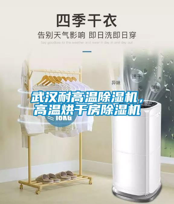 武漢耐高溫除濕機(jī)，高溫烘干房除濕機(jī)