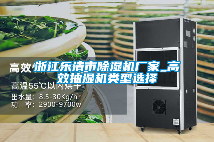 浙江樂清市除濕機廠家_高效抽濕機類型選擇
