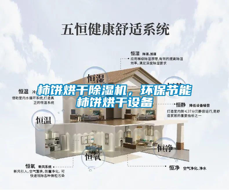 柿餅烘干除濕機(jī)，環(huán)保節(jié)能柿餅烘干設(shè)備