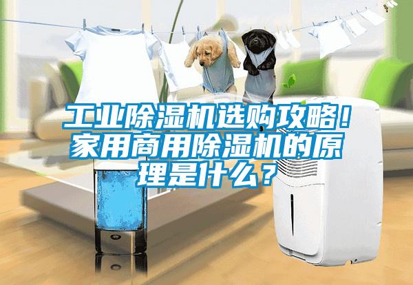 工業(yè)除濕機(jī)選購(gòu)攻略！家用商用除濕機(jī)的原理是什么？