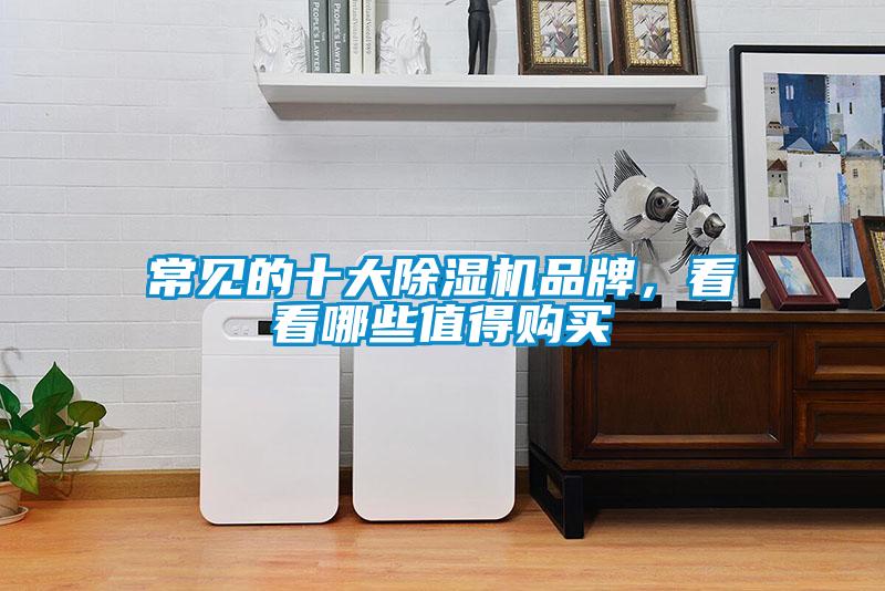 常見的十大除濕機(jī)品牌，看看哪些值得購買