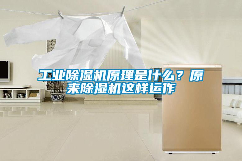 工業(yè)除濕機(jī)原理是什么？原來(lái)除濕機(jī)這樣運(yùn)作