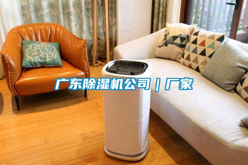 廣東除濕機公司｜廠家