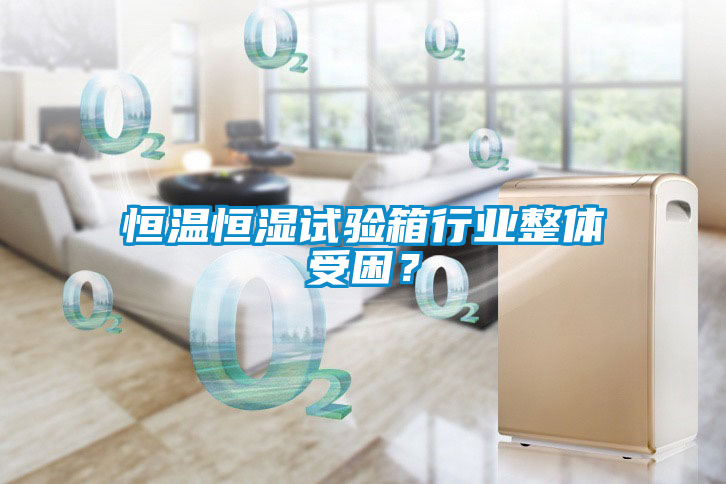 恒溫恒濕試驗(yàn)箱行業(yè)整體受困？
