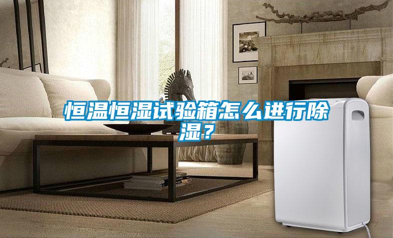 恒溫恒濕試驗(yàn)箱怎么進(jìn)行除濕？