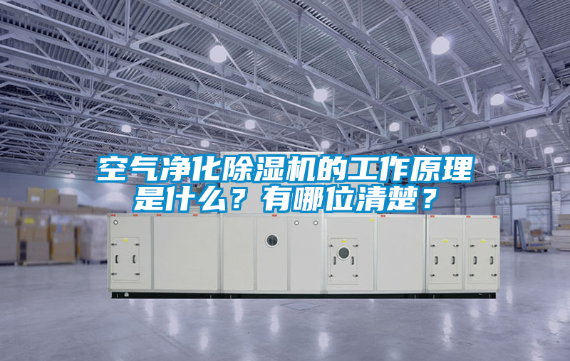空氣凈化除濕機(jī)的工作原理是什么？有哪位清楚？