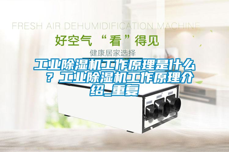 工業(yè)除濕機工作原理是什么 ？工業(yè)除濕機工作原理介紹_重復(fù)