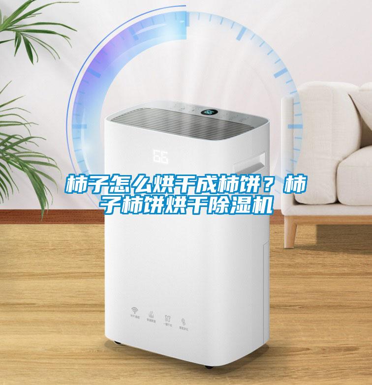 柿子怎么烘干成柿餅？柿子柿餅烘干除濕機(jī)