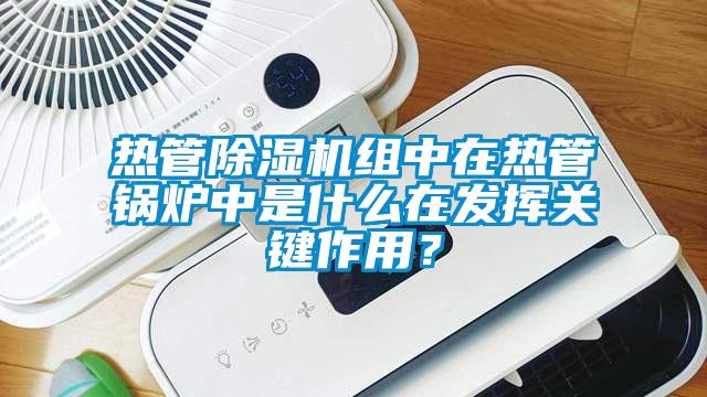 熱管除濕機(jī)組中在熱管鍋爐中是什么在發(fā)揮關(guān)鍵作用？
