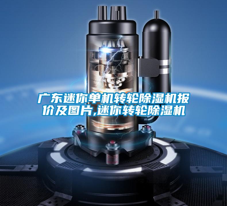 廣東迷你單機(jī)轉(zhuǎn)輪除濕機(jī)報(bào)價(jià)及圖片,迷你轉(zhuǎn)輪除濕機(jī)