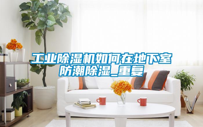 工業(yè)除濕機如何在地下室防潮除濕_重復