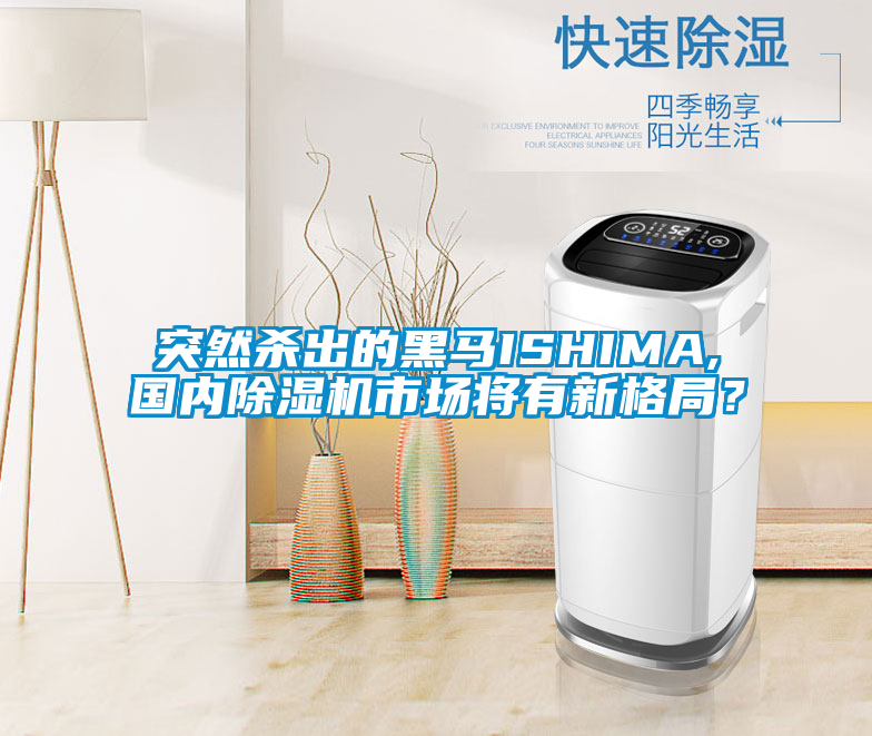 突然殺出的黑馬ISHIMA,國內(nèi)除濕機(jī)市場將有新格局？