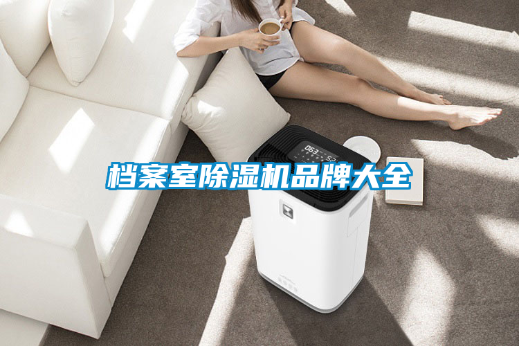檔案室除濕機(jī)品牌大全