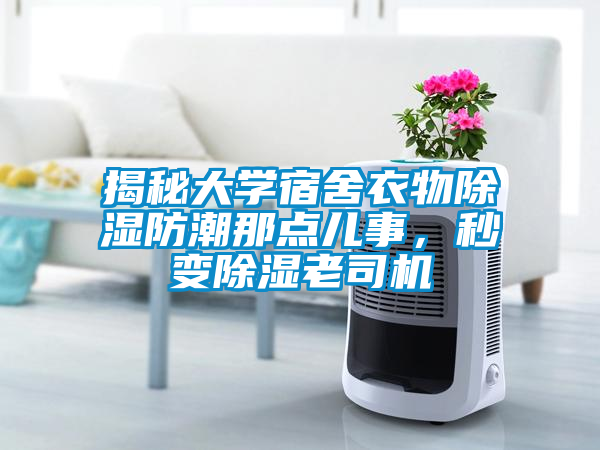 揭秘大學(xué)宿舍衣物除濕防潮那點(diǎn)兒事，秒變除濕老司機(jī)