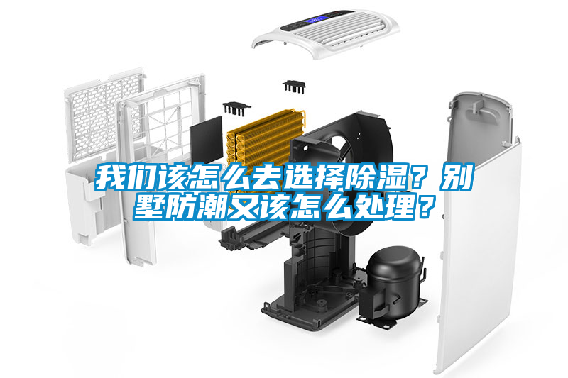 我們該怎么去選擇除濕？別墅防潮又該怎么處理？