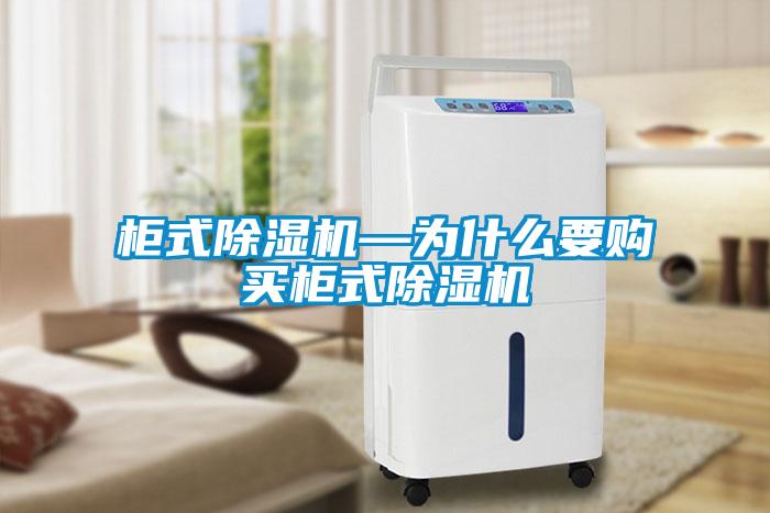柜式除濕機(jī)—為什么要購(gòu)買(mǎi)柜式除濕機(jī)