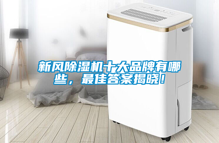 新風(fēng)除濕機(jī)十大品牌有哪些，最佳答案揭曉！