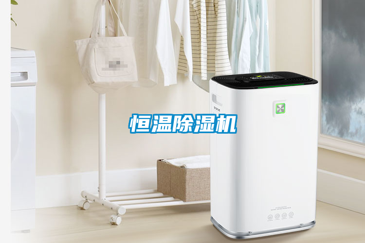 恒溫除濕機(jī)