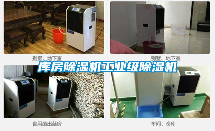 庫房除濕機工業(yè)級除濕機