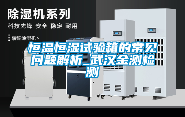 恒溫恒濕試驗(yàn)箱的常見問(wèn)題解析_武漢金測(cè)檢測(cè)
