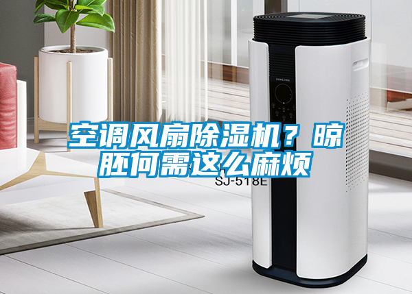 空調(diào)風扇除濕機？晾胚何需這么麻煩