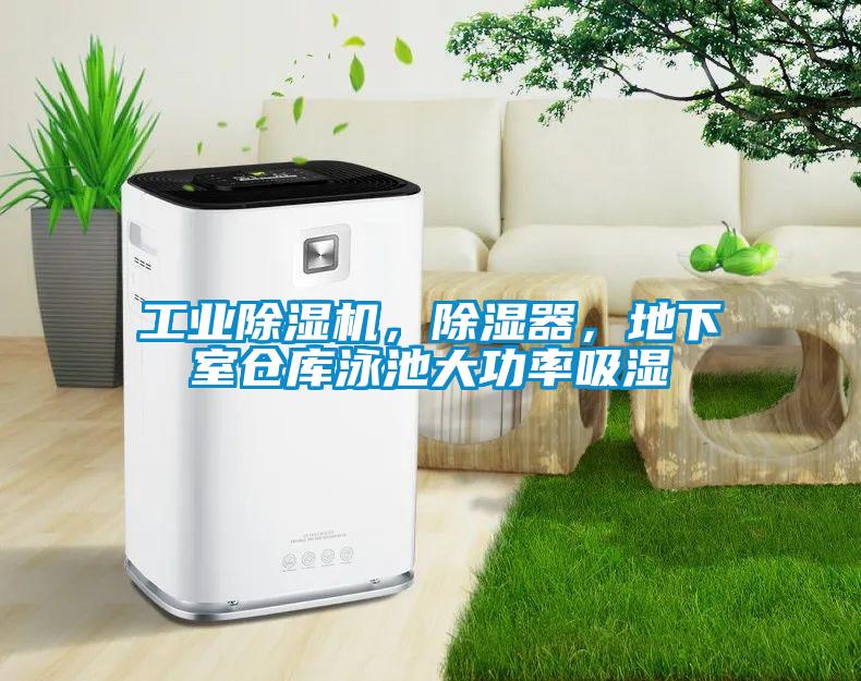 工業(yè)除濕機(jī)，除濕器，地下室倉(cāng)庫(kù)泳池大功率吸濕