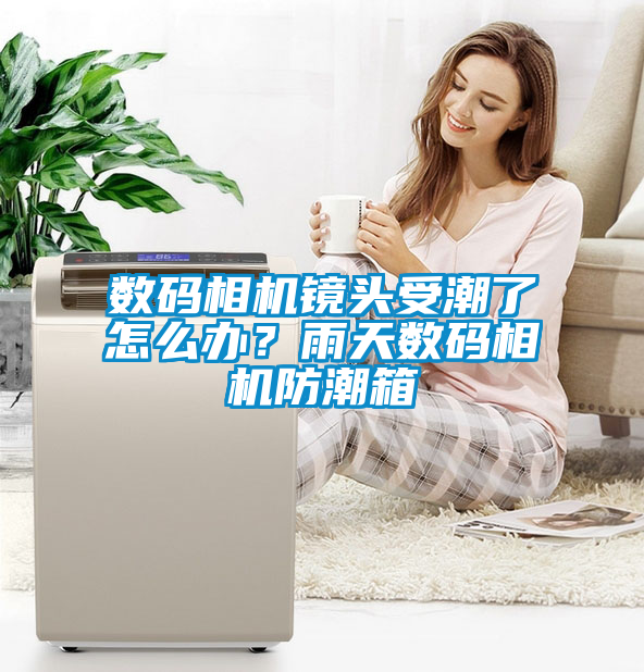 數(shù)碼相機鏡頭受潮了怎么辦？雨天數(shù)碼相機防潮箱